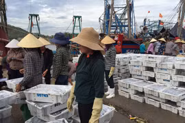 2018年上半年乂安省出口总额同比增长13.58%