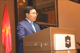 “越南文化日”活动在新加坡举行