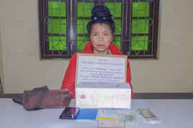 奠边省破获一起跨境运输5000块合成毒品案