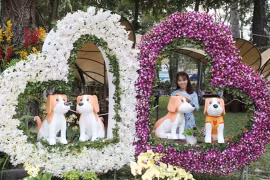 胡志明市2018戊戌年迎春花卉节开幕