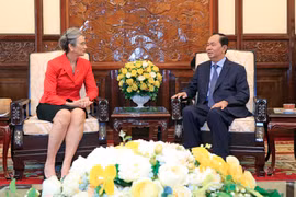 越南国家主席陈大光会见即将离任的荷兰驻越大使尼恩可
