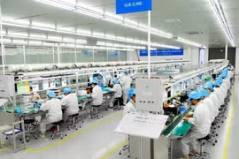 充分挖掘越俄贸易关系发展潜力