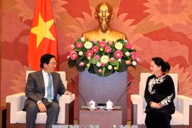 越南国会主席阮氏金银会见中国驻越大使洪小勇。（图片来源：越通社）