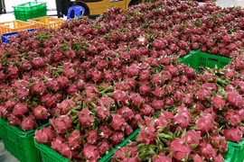 MM Mega Market公司每月向泰国出口150吨越南农水产品