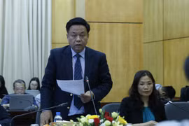认真加快落实健全越南湄公河委员会提案