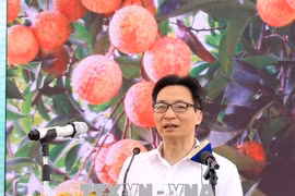 2018年海阳省清河荔枝节开幕