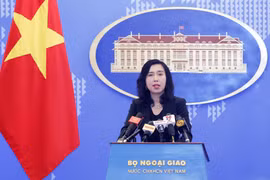 越南提议各国为维护各海域和海洋的和平与稳定做出积极贡献