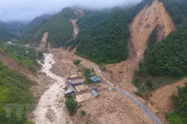 越南政府总理就洪水、山体滑坡预防工作作指示