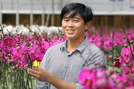 年轻人自主创业的好榜样