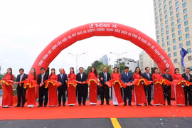 河内市安阳与青年路交叉处天桥正式通车