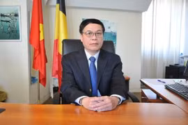 越南与比利时建交45周年：将两国关系推上新高度