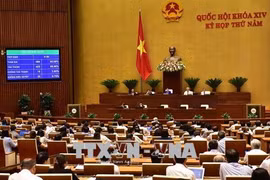 越南第十四届国会第五次会议：确保网络空间的信息安全