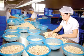 2018年1月份同奈省实现贸易顺差额达2.67亿美元