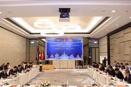 越老柬加强合作 打击跨境毒品犯罪