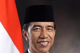 印度尼西亚总统开始对越南进行国事访问