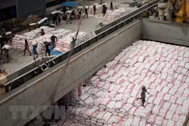 2018年上半年柬埔寨大米出口量同比下降5.9%