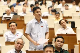 坚江省国会代表团代表在会议上发言。（图片来源：越通社）
