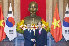 越南国家主席陈大光同韩国总统文在寅举行会谈
