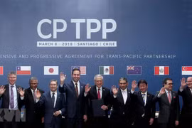 越南努力推动CPTPP尽快落到实处见到实效