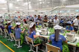 富寿省注重发展工业区和产业集群区基础设施