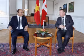 越南与丹麦发表联合声明