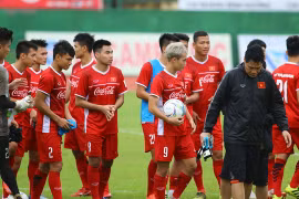 印度尼西亚第18届亚运会:越南球队已抵达印尼 