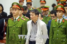 郑春青及其同案犯案件：郑春青被判终身监禁
