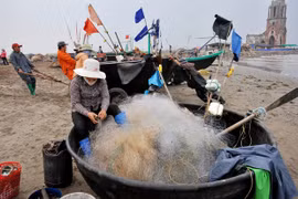 南定省渔民出海回来 收获满仓