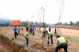 推进植树和造林工作 努力保护环境