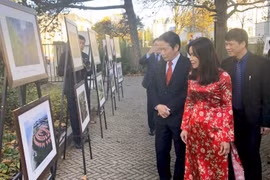 庆祝越荷建交45周年图片展在荷兰举行