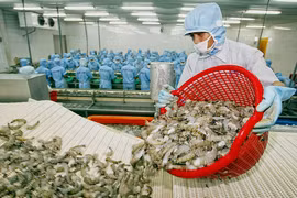 美国在第十二次行政复议中减少对越南虾类的反倾销税