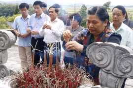 越南国会副主席丛氏放向陈富总书记陵墓献花上香
