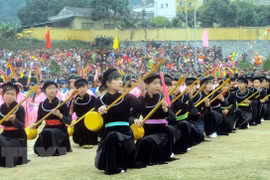 越南全国天曲天琴艺术节：推崇“天”艺术在越南文化生活中的价值