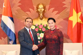越南国会主席阮氏金银荣获古巴国务委员会授予的团结勋章