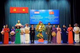 越南与荷兰建交45周年纪念典礼在胡志明市举行