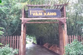 芹苴市丰田县的旺桑果园