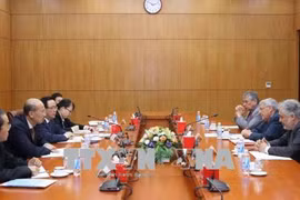 越共中央经济部部长阮文平会见能源领域的国际专家代表团