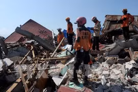 印尼地震和海啸：恢复重建工作将于11月初开始