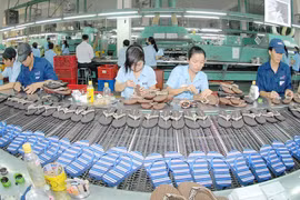 《跨太平洋伙伴关系全面及进步协定》成为越南企业获取长期利益的新平台