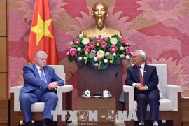 越南国会副主席汪周刘会见公正俄罗斯党议员小组主席