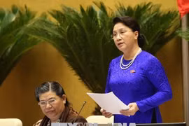  越南第十四届国会第五次会议公报（第十三号）