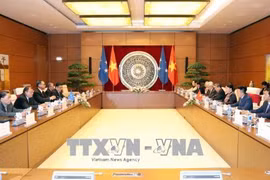 越南国会主席阮氏金银与密克罗尼西亚联邦国会议长韦斯利·西米纳举行会谈