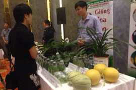 河内市分享有关高科技农业推广应用的经验