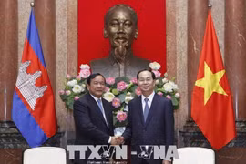 国家主席陈大光会见柬埔寨外交与国家合作部大臣布拉索昆