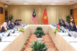越南政府副总理范平明与马来西亚副总理旺·阿兹莎举行会谈