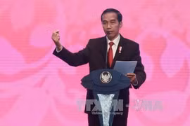 印尼总统进行第三次内阁改组