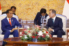 韩国总统与印尼总统举行首脑会谈