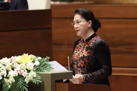 第十四届国会第五次会议：促进潜在和优势领域发展 为经济社会发展注入动力
