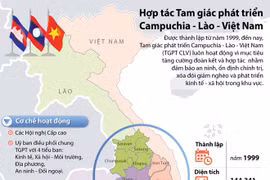 得乐省多家企业加大对老柬两国农林业项目投资力度