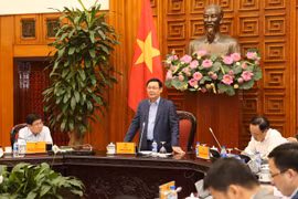 王廷惠副总理：胡志明市应大力推进国有企业股份制转化进程